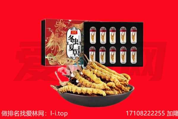 达州市大竹回收虫草.jpg